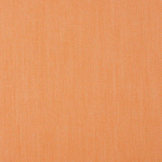 30010-06 Plain & Solid nan Orange & Rust Charlotte Select