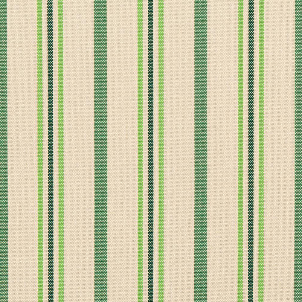 30020-02 Stripe nan Green Charlotte Select