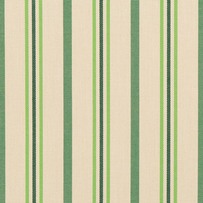 30020-02 Stripe nan Green Charlotte Select