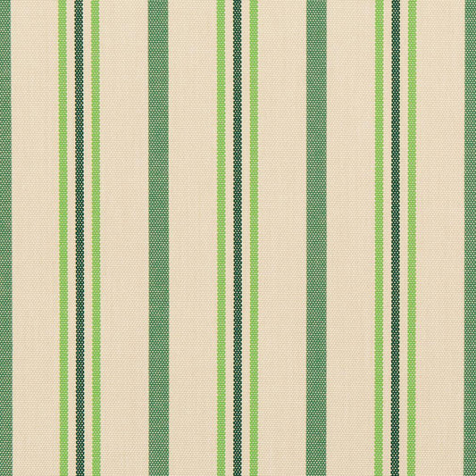 30020-02 Stripe nan Green Charlotte Select