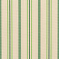 30020-02 Stripe nan Green Charlotte Select