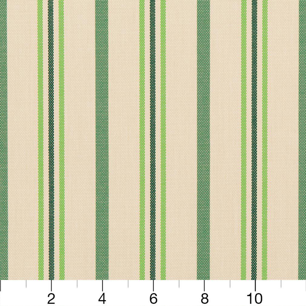 30020-02 Stripe nan Green Charlotte Select