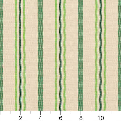 30020-02 Stripe nan Green Charlotte Select