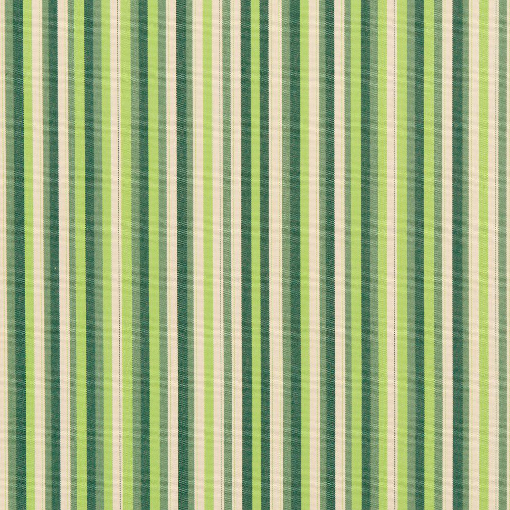 30040-01 Stripe nan Green Charlotte Select