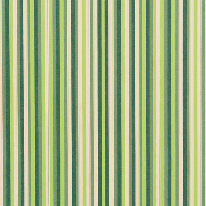 30040-01 Stripe nan Green Charlotte Select