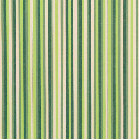 30040-01 Stripe nan Green Charlotte Select