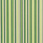 30040-01 Stripe nan Green Charlotte Select