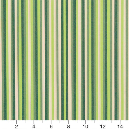30040-01 Stripe nan Green Charlotte Select