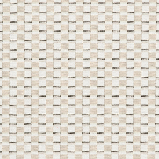 30060-04 Abstract & Geometric,Small Scale Beige & Taupe Charlotte Fabrics Woven Patterns