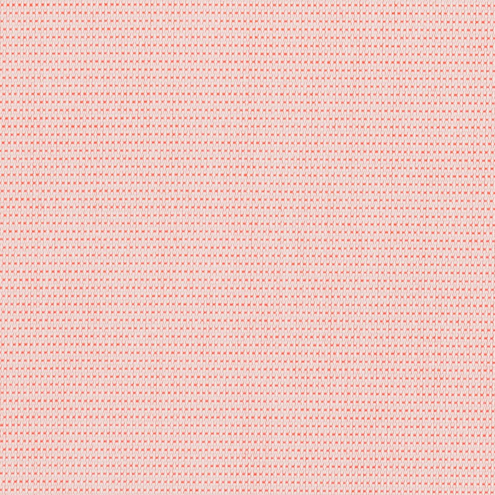 30070-07 Plain & Solid nan Coral & Peach Charlotte Select
