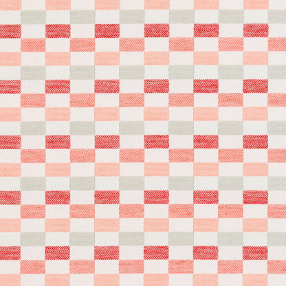 30080-03 Abstract & Geometric,Plaid & Check nan Coral & Peach Charlotte Select