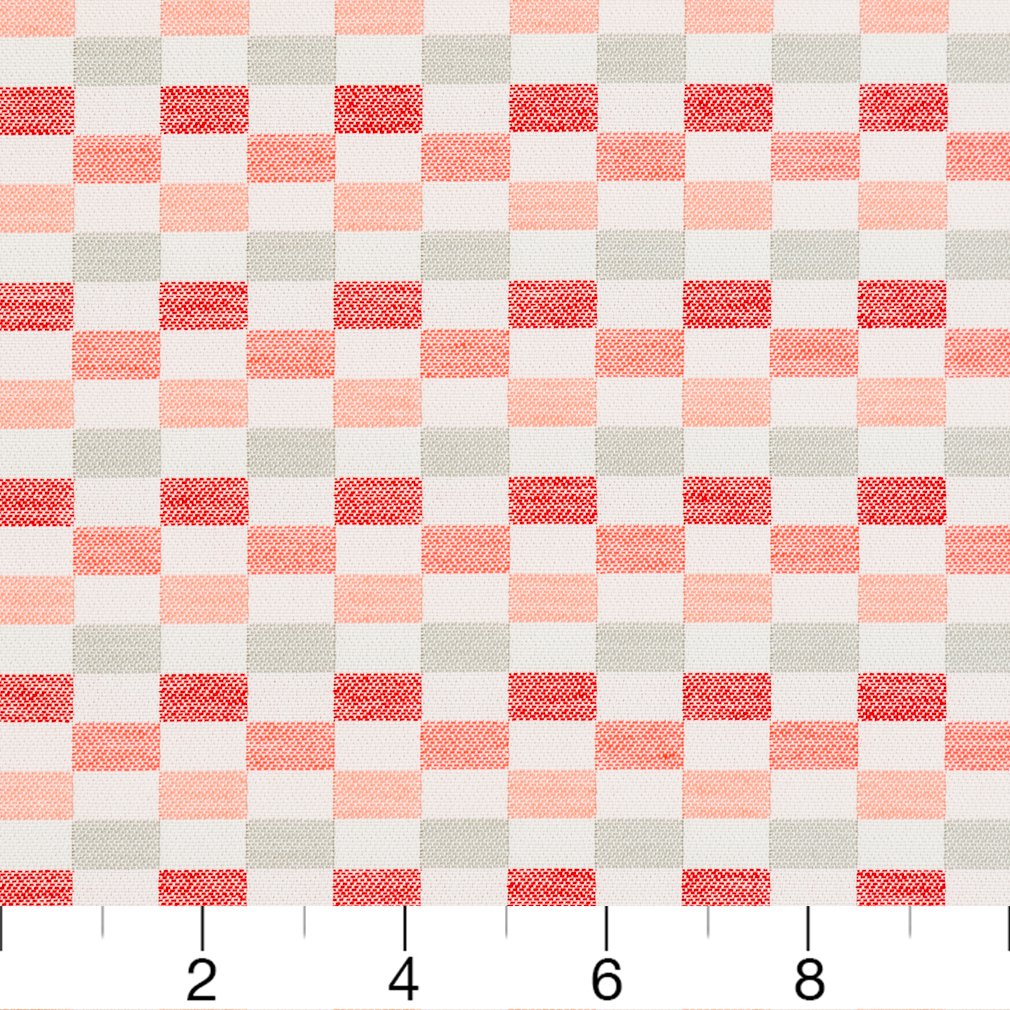 30080-03 Abstract & Geometric,Plaid & Check nan Coral & Peach Charlotte Select