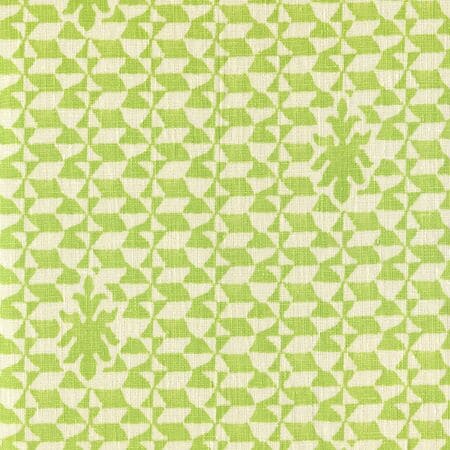 302238F CARLO II Green on Curtain Weight Quadrille Fabric