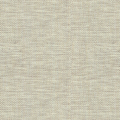 30299-106 KRAVET BASICS 30299-106 KRAVET BASICS Fabrics Drapery Upholstery