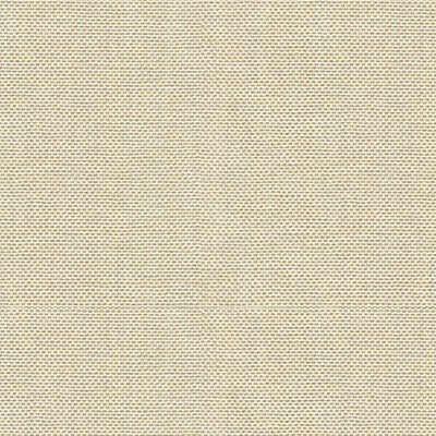 30299-1116 KRAVET BASICS 30299-1116 KRAVET BASICS Fabrics Drapery Upholstery