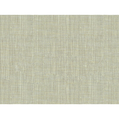 30299-2111 KRAVET BASICS 30299-2111 KRAVET BASICS Fabrics Drapery Upholstery
