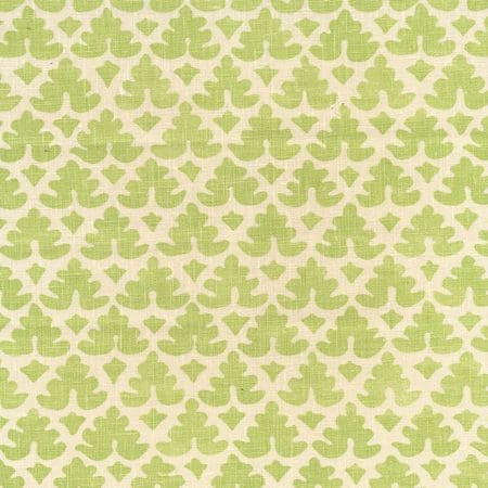 304043F VOLPI Apple on Tint Quadrille Fabric