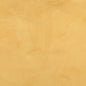 3054 Plain & Solid Goldenrod Gold & Yellow Charlotte Fabrics