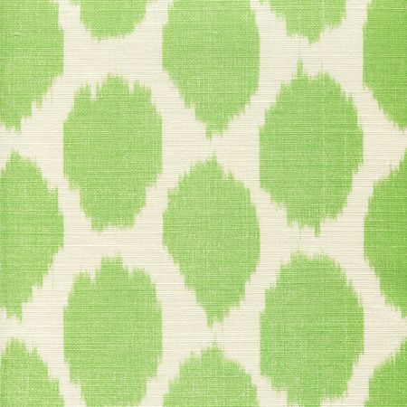 306105F ADRAS Jungle Green on Tint Quadrille Fabric