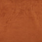 3062 Plain & Solid Palomino Orange & Rust Charlotte Fabrics