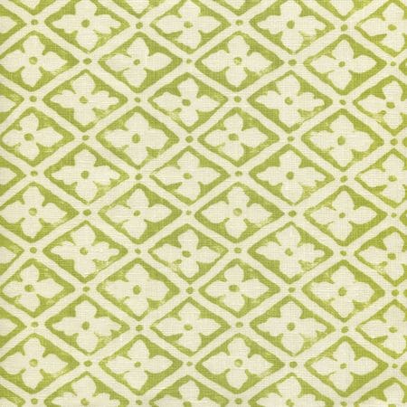 306330F-08 PUCCINI New Apple on Tinted Linen Quadrille Fabric