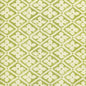 306330F-08 PUCCINI New Apple on Tinted Linen Quadrille Fabric