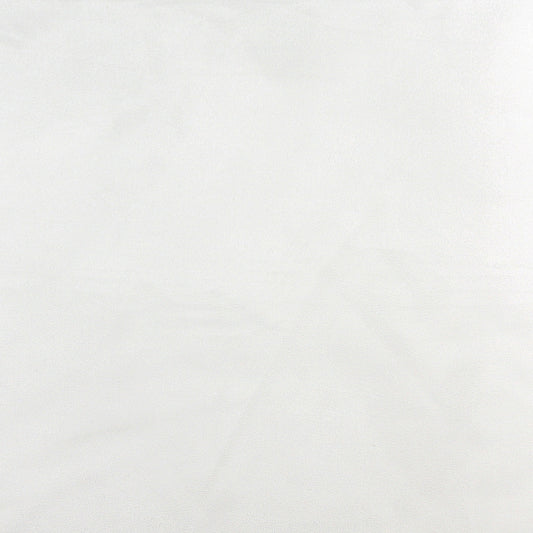 3064 Plain & Solid White White & Ivory Charlotte Fabrics