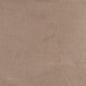 3070 Plain & Solid Buckskin Beige & Taupe Charlotte Fabrics