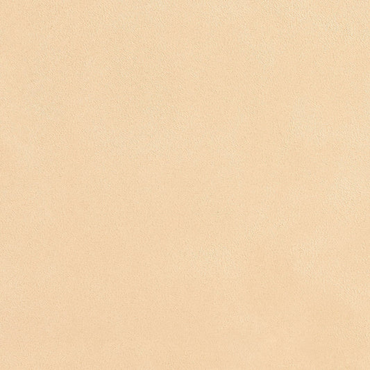 3073 Plain & Solid Beige & Taupe Charlotte Fabrics Microfiber & Microsuede