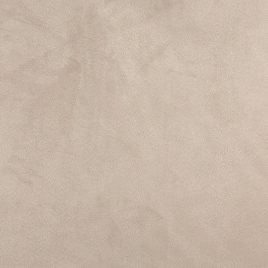 3081 Plain & Solid Fawn Beige & Taupe Charlotte Fabrics