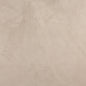 3081 Plain & Solid Fawn Beige & Taupe Charlotte Fabrics