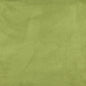 3085 Plain & Solid Spring Green Charlotte Fabrics