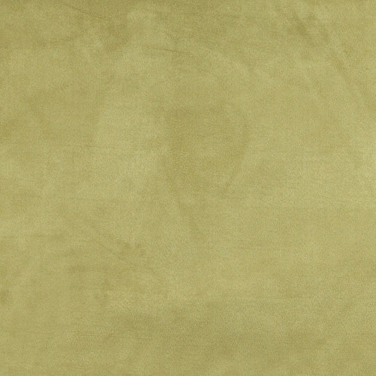3096 Plain & Solid Moss Green Charlotte Fabrics