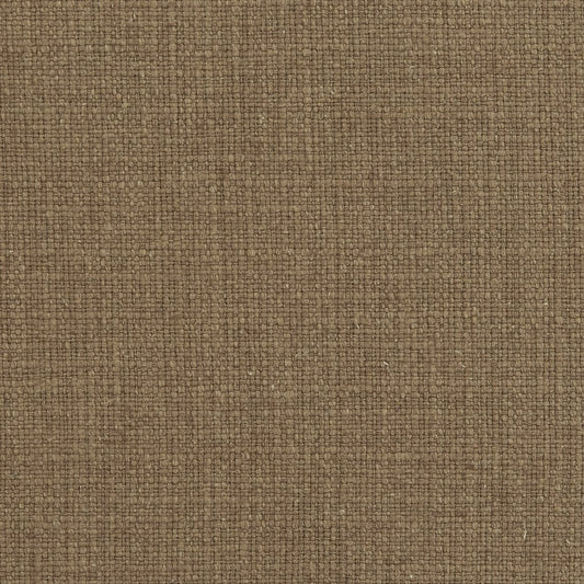 31000-02 Plain & Solid nan Brown Charlotte Select