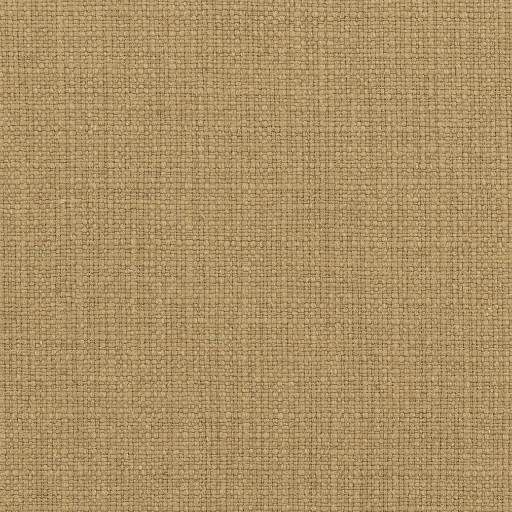 31000-05 Plain & Solid nan Brown Charlotte Select