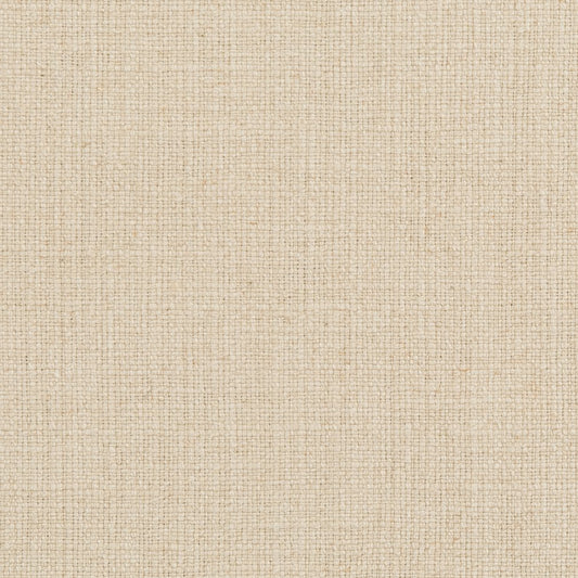 31000-08 Plain & Solid nan Beige & Taupe Charlotte Select