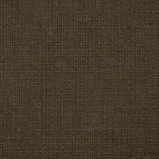 31000-10 Plain & Solid nan Brown Charlotte Select