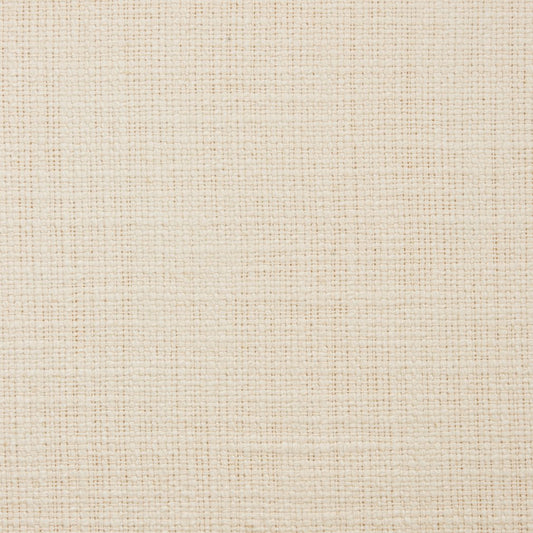 31000-11 Plain & Solid nan White & Ivory Charlotte Select