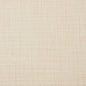 31000-11 Plain & Solid nan White & Ivory Charlotte Select