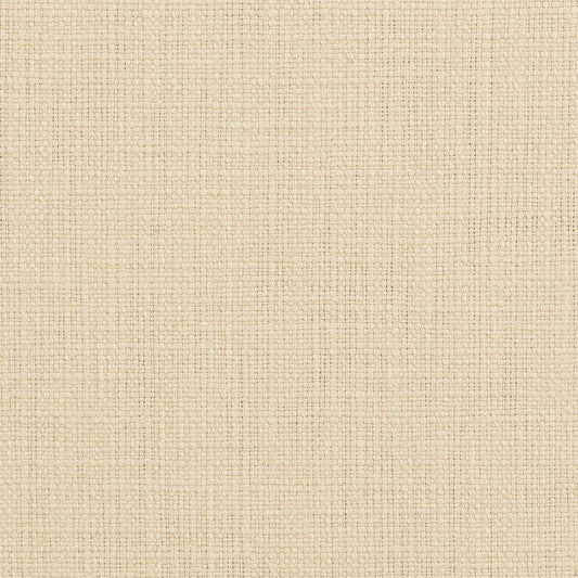 31000-15 Plain & Solid nan Beige & Taupe Charlotte Select