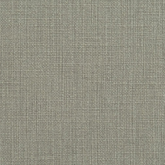31000-16 Plain & Solid nan Grey & Silver Charlotte Select