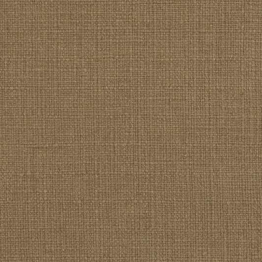 31000-18 Plain & Solid nan Brown Charlotte Select