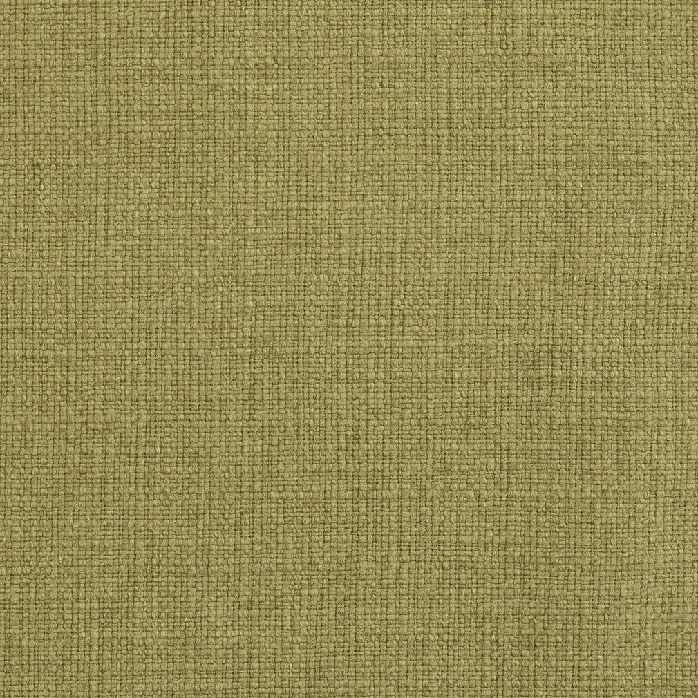 31000-19 Plain & Solid nan Green Charlotte Select