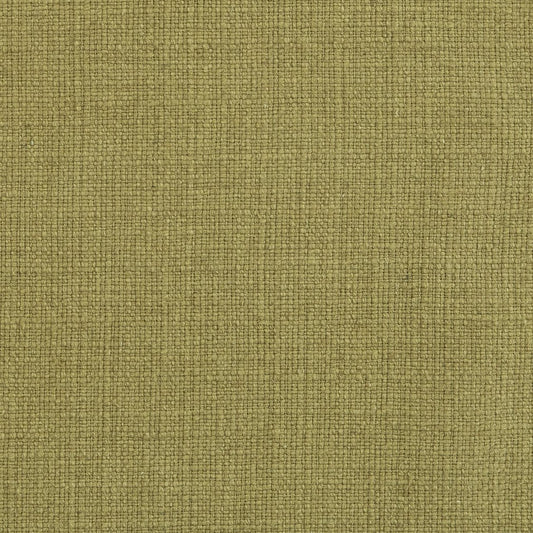 31000-19 Plain & Solid nan Green Charlotte Select