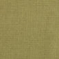 31000-19 Plain & Solid nan Green Charlotte Select