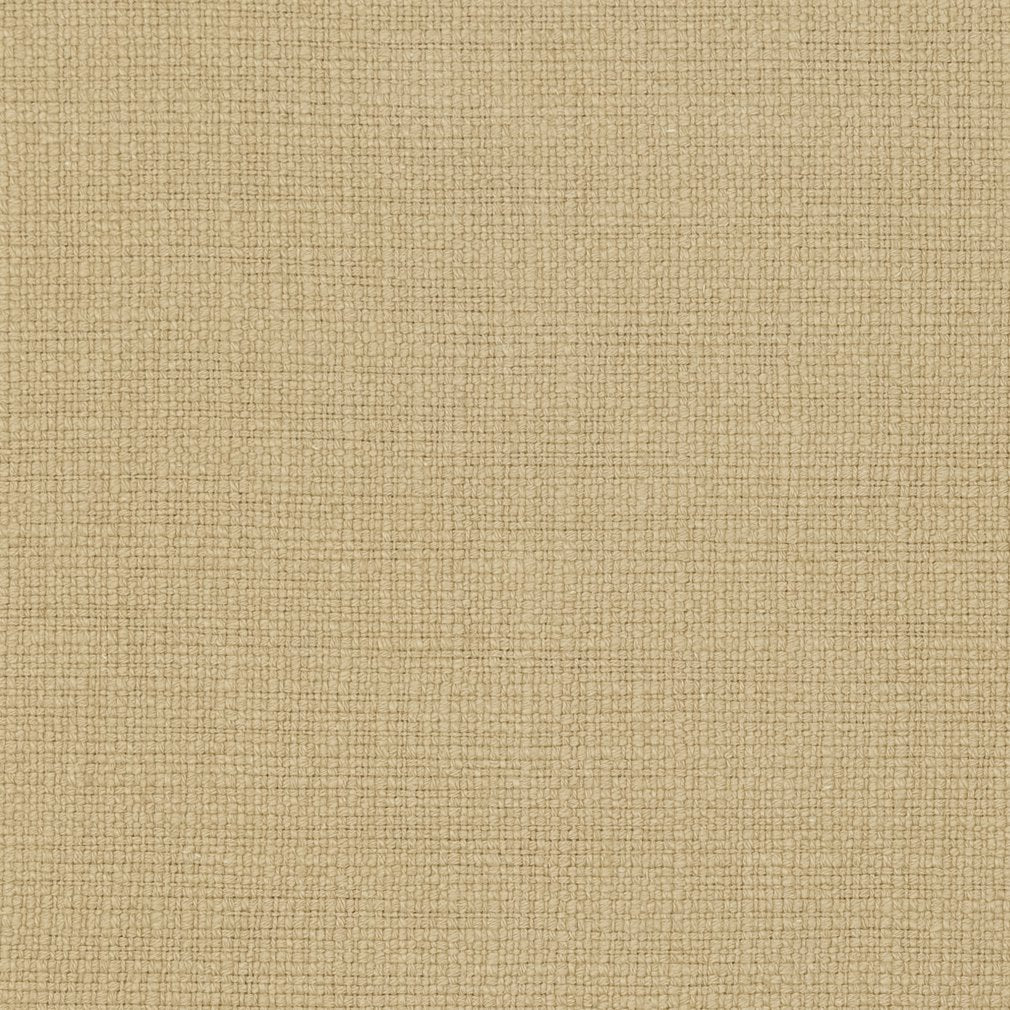 31000-20 Plain & Solid nan Beige & Taupe Charlotte Select