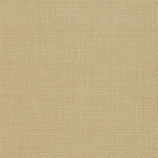 31000-20 Plain & Solid nan Beige & Taupe Charlotte Select
