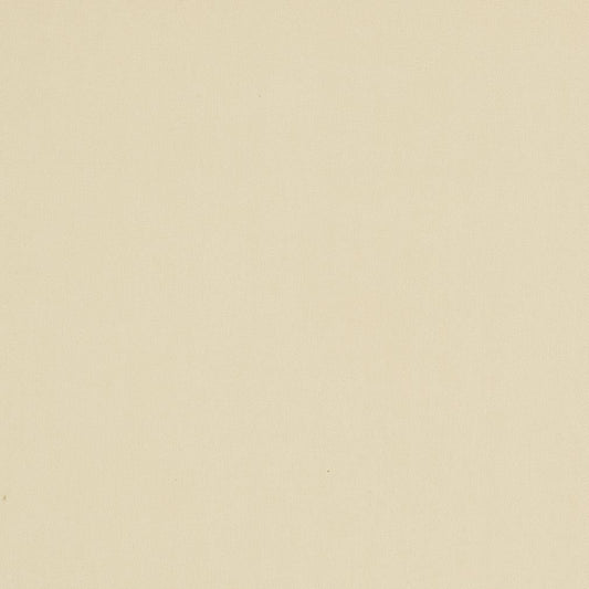 3100 Plain & Solid Beige & Taupe Charlotte Fabrics Canvas Denim & Twill