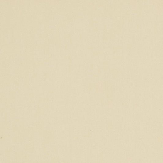 3100 Plain & Solid Oyster Beige & Taupe Charlotte Fabrics