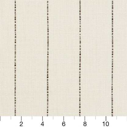 31010-03 Stripe nan Brown Charlotte Select